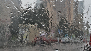 Похолодание и дожди придут в Воронеж перед 9 Мая