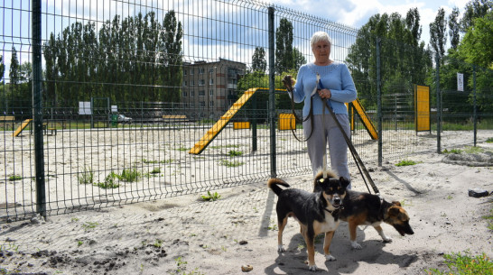 В Борисоглебске построили площадку для выгула собак