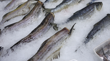 Воронежское УФАС раскрыло сговор трех фирм при поставке продуктов в социальные учреждения