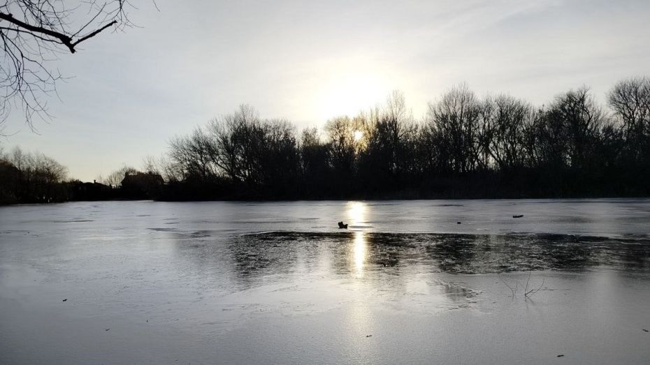 В Воронежской области провалился под лед и погиб еще один рыбак