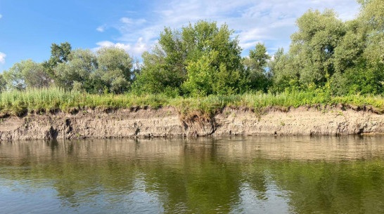 В Воронежской области идут поиски тела утонувшего в реке Хопер 14-летнего мальчика
