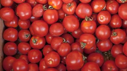 Цены на свежие помидоры взлетели в Воронежской области