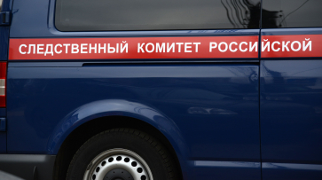 СК начал проверку после обнаружения двух маленьких потерявшихся девочек в Воронеже