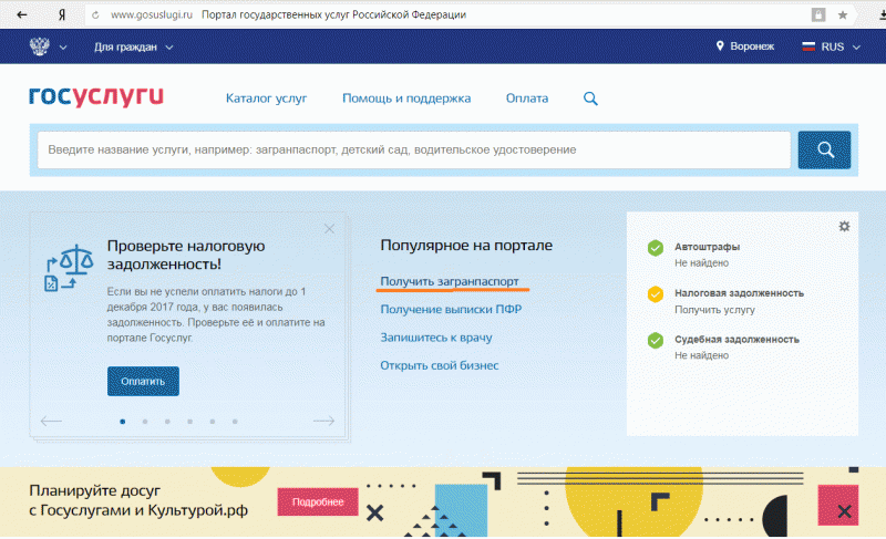 Далее услуга. Госуслуги Воронеж. Госуслуги медицинская карта. Госуслуги Воронеж, Левобережный район. Сколько стоит выписка на портале госуслуг Воронеж.